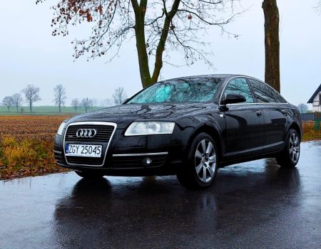 Audi a6 c6 czarne w lesie